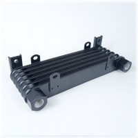 Радиатор масляный AL608(6D) 250х79х32 мм, G3/8 BSP ☰ 6 секций TRUST Style