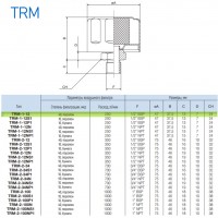 Сапун TRM-1-12 OMT до 250 л/мин, фильтр 40 мкм резьба 1/2 BSP Сапун TRM-1-12 OMT до 250 л/мин, фильтр 40 мкм резьба 1/2 BSP