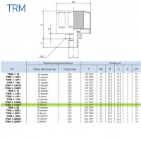 Сапун TRM-1-14NP1 OMT до 250 л/мин, фильтр 10 мкм резьба 1/4 NPT