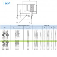 Сапун TRM-1-14NS1 OMT до 250 л/мин, фильтр 10 мкм резьба 1/4 NPT Сапун TRM-1-14NS1 OMT до 250 л/мин, фильтр 10 мкм резьба 1/4 NPT