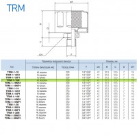 Сапун TRM-1-18N OMT до 200 л/мин, фильтр 40 мкм резьба 1/8 NPT Сапун TRM-1-18N OMT до 200 л/мин, фильтр 40 мкм резьба 1/8 NPT