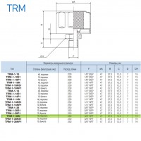 Сапун TRM-1-38N OMT до 250 л/мин, фильтр 40 мкм резьба 3/8 NPT Сапун TRM-1-38N OMT до 250 л/мин, фильтр 40 мкм резьба 3/8 NPT