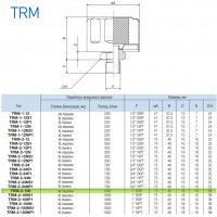 Сапун TRM-2-100 OMT до 1000 л/мин, фильтр 40 мкм резьба 1 BSP