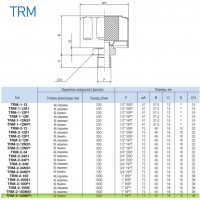Сапун TRM-2-100NP1 OMT до 1000 л/мин, фильтр 10 мкм резьба 1 NPT
