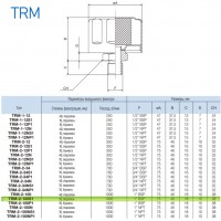 Сапун TRM-2-100S1 OMT до 1000 л/мин, фильтр 10 мкм резьба 1 BSP Сапун TRM-2-100S1 OMT до 1000 л/мин, фильтр 10 мкм резьба 1 BSP