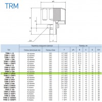 Сапун TRM-2-12NS1 OMT до 350 л/мин, фильтр 10 мкм резьба 1/2 BSP Сапун TRM-2-12NS1 OMT до 350 л/мин, фильтр 10 мкм резьба 1/2 BSP