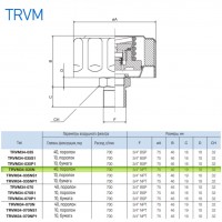 Сапун TRVM34-035N OMT до 700 л/мин, фильтр 40 мкм резьба 3/4 NPT, с клапаном на 0.35 бар