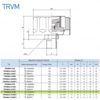 Сапун TRVM34-070N OMT до 700 л/мин, фильтр 40 мкм резьба 3/4 NPT, с клапаном на 0.70 бар