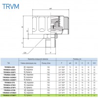 Сапун TRVM34-070NP1 OMT до 700 л/мин, фильтр 10 мкм резьба 3/4 NPT, с клапаном на 0.70 бар Сапун TRVM34-070NP1 OMT до 700 л/мин, фильтр 10 мкм резьба 3/4 NPT, с клапаном на 0.70 бар