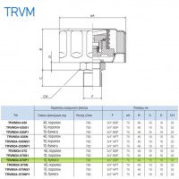 Сапун TRVM34-070P1 OMT до 700 л/мин, фильтр 10 мкм резьба 3/4 BSP, с клапаном на 0.70 бар Сапун TRVM34-070P1 OMT до 700 л/мин, фильтр 10 мкм резьба 3/4 BSP, с клапаном на 0.70 бар