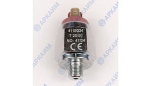 Реле давления 4110G24 Euroswitch 1/8 BSP с настройкой от 20 до 50 бар