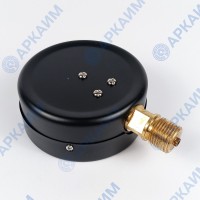 Манометр PG-EC-02, от 0 до 1,6 МПа, ⌀ 100мм, BSP1/2", общетехнический, радиальный