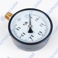 Манометр PG-EC-02, от 0 до 0,6 МПа, ⌀ 100мм, BSP1/2", общетехнический, радиальный