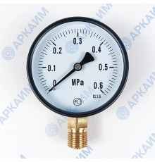 Манометр PG-EC-02, от 0 до 0,6 МПа, ⌀ 100мм, BSP1/2", общетехнический, радиальный