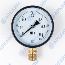 Манометр PG-EC-02, от 0 до 0,6 МПа, ⌀ 100мм, BSP1/2", общетехнический, радиальный