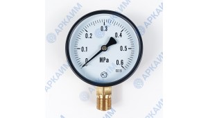 Манометр PG-EC-02, от 0 до 0,6 МПа, ⌀ 100мм, BSP1/2", общетехнический, радиальный