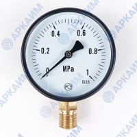 Манометр PG-EC-02, от 0 до 1 МПа, ⌀ 100мм, BSP1/2", общетехнический, радиальный