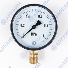 Манометр PG-EC-02, от 0 до 1 МПа, ⌀ 100мм, BSP1/2", общетехнический, радиальный