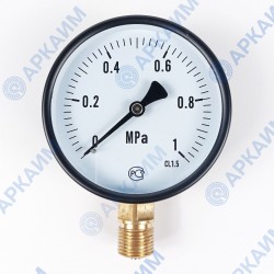 Манометр PG-EC-02, от 0 до 1 МПа, ⌀ 100мм, BSP1/2", общетехнический, радиальный