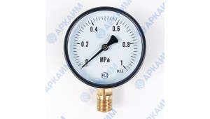 Манометр PG-EC-02, от 0 до 1 МПа, ⌀ 100мм, BSP1/2", общетехнический, радиальный