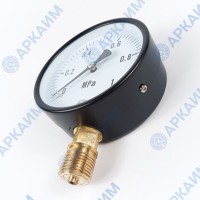 Манометр PG-EC-02, от 0 до 1 МПа, ⌀ 100мм, BSP1/2", общетехнический, радиальный