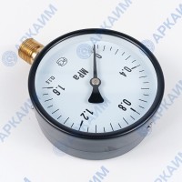 Манометр PG-EC-02, от 0 до 1,6 МПа, ⌀ 100мм, BSP1/2", общетехнический, радиальный