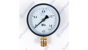 Манометр PG-EC-02, от 0 до 1,6 МПа, ⌀ 100мм, BSP1/2", общетехнический, радиальный