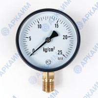 Манометр PG-EC-02, от 0 до 25 кгс/см², ⌀ 100мм, М20*1,5, общетехнический, радиальный