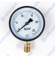 Манометр PG-EC-02, от 0 до 25 кгс/см², ⌀ 100мм, М20*1,5, общетехнический, радиальный