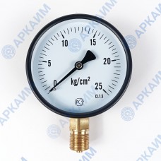 Манометр PG-EC-02, от 0 до 25 кгс/см², ⌀ 100мм, М20*1,5, общетехнический, радиальный