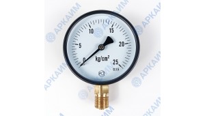 Манометр PG-EC-02, от 0 до 25 кгс/см², ⌀ 100мм, М20*1,5, общетехнический, радиальный