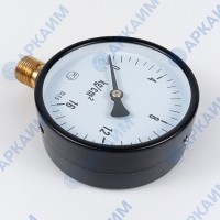 Манометр PG-EC-02, от 0 до 16 кгс/см², ⌀ 100мм, BSP1/2", общетехнический, радиальный