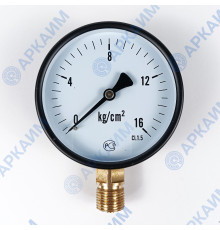 Манометр PG-EC-02, от 0 до 16 кгс/см², ⌀ 100мм, BSP1/2", общетехнический, радиальный