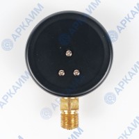 Манометр PG-EC-02, от 0 до 6 кгс/см², ⌀ 100мм, М20*1,5, общетехнический, радиальный