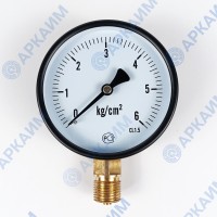 Манометр PG-EC-02, от 0 до 6 кгс/см², ⌀ 100мм, BSP1/2", общетехнический, радиальный