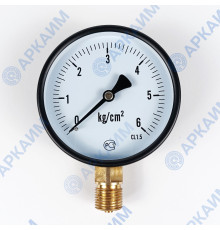 Манометр PG-EC-02, от 0 до 6 кгс/см², ⌀ 100мм, BSP1/2", общетехнический, радиальный