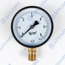 Манометр PG-EC-02, от 0 до 6 кгс/см², ⌀ 100мм, BSP1/2", общетехнический, радиальный