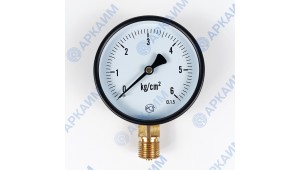 Манометр PG-EC-02, от 0 до 6 кгс/см², ⌀ 100мм, BSP1/2", общетехнический, радиальный