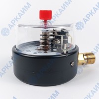 Манометр электроконтактный PG-EC-02, от 0 до 0,25 МПа, ⌀ 100мм, М20*1,5, радиальный